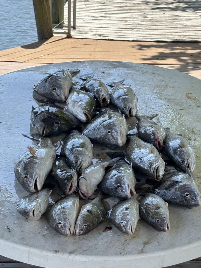 Slap Yo Hook fishing charter — Slidell, LA marsh fishing